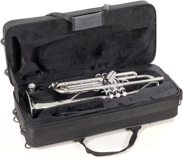 Roy Benson TR-202S Trompete mit Goldmessing und praktischem Leichtkoffer entdecken