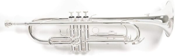 Roy Benson TR-202S Trompete mit Goldmessing und praktischem Leichtkoffer entdecken